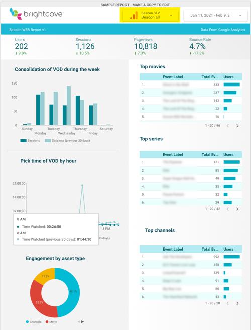 example report