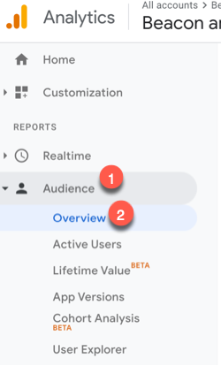 présentation de l'audience